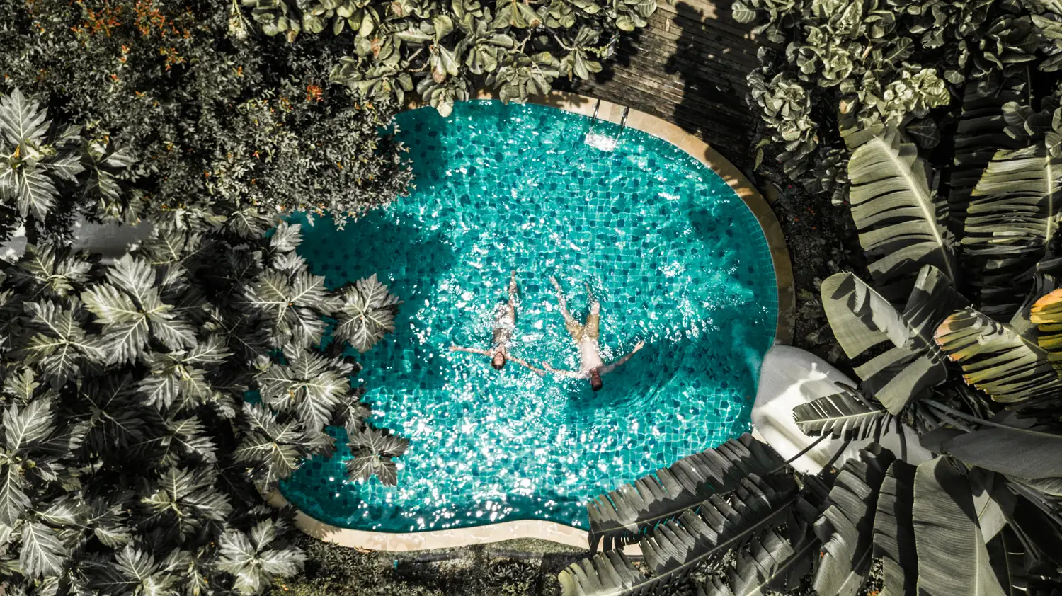 Free-form pool among the palms