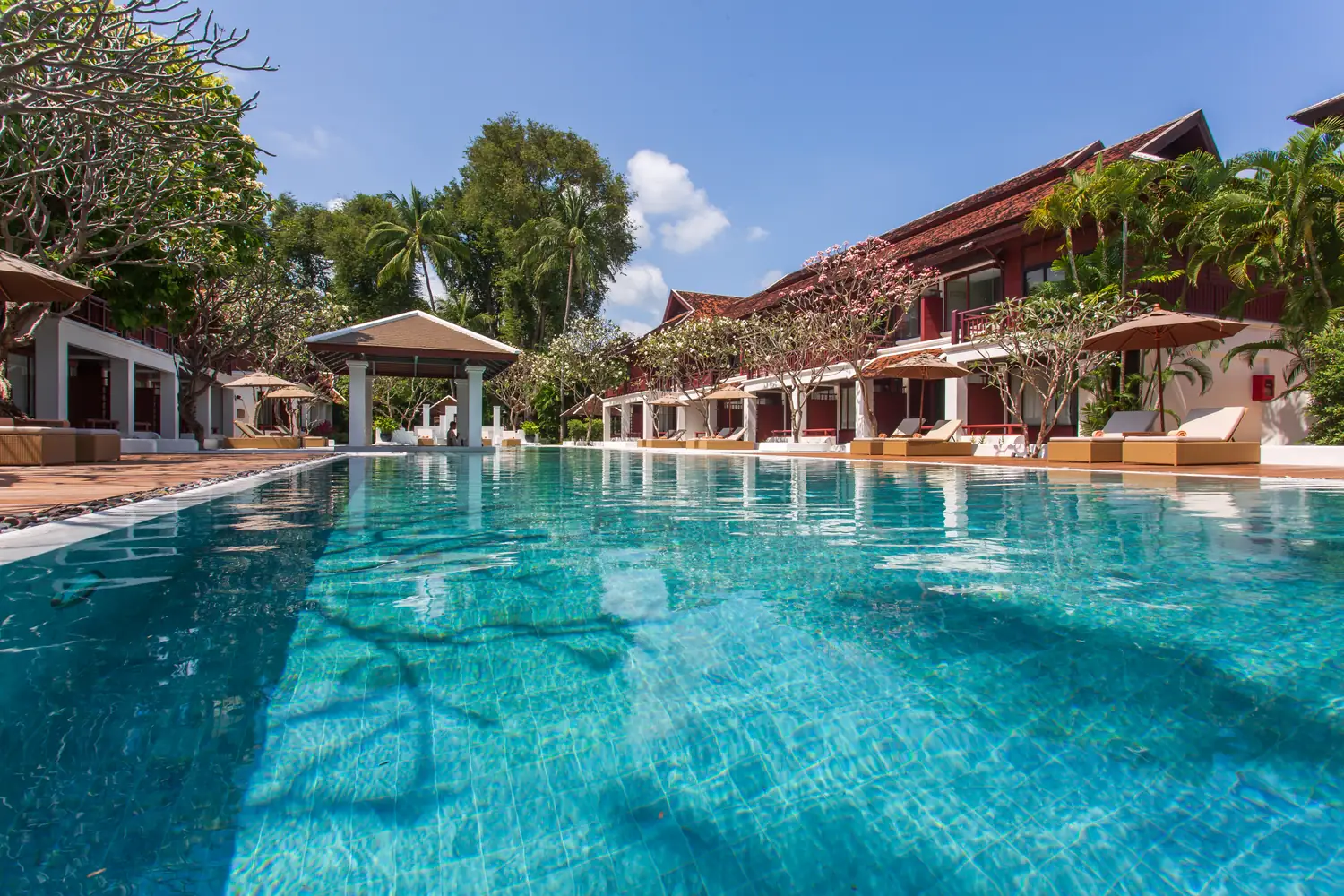 Garden pool among the palms