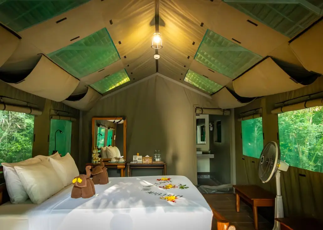 Inside a jungle tent