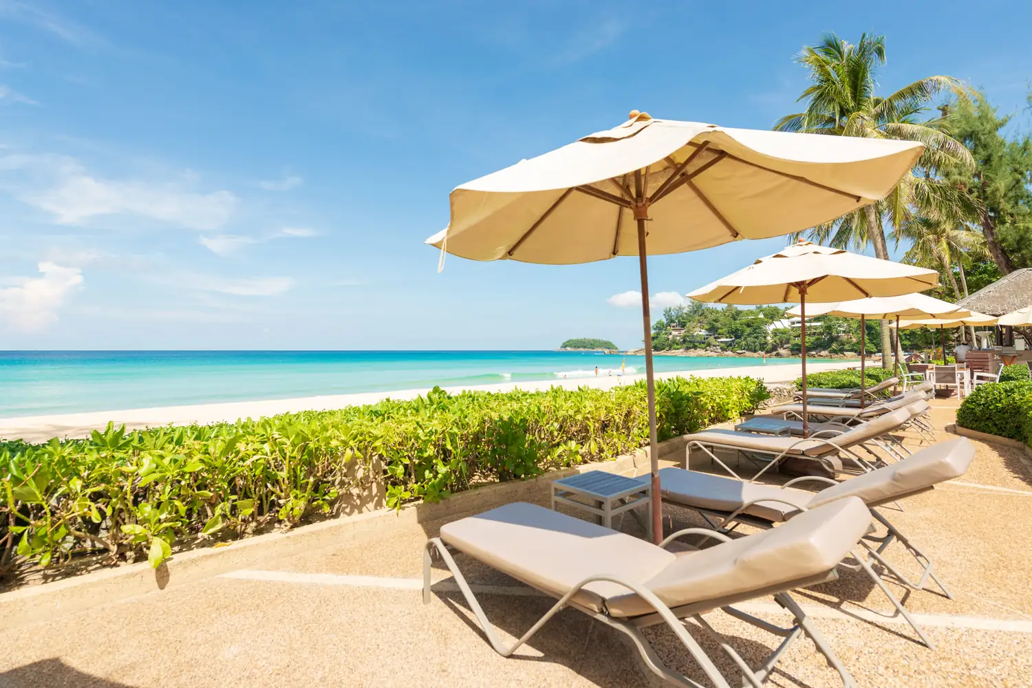 Beachfront loungers and parasols