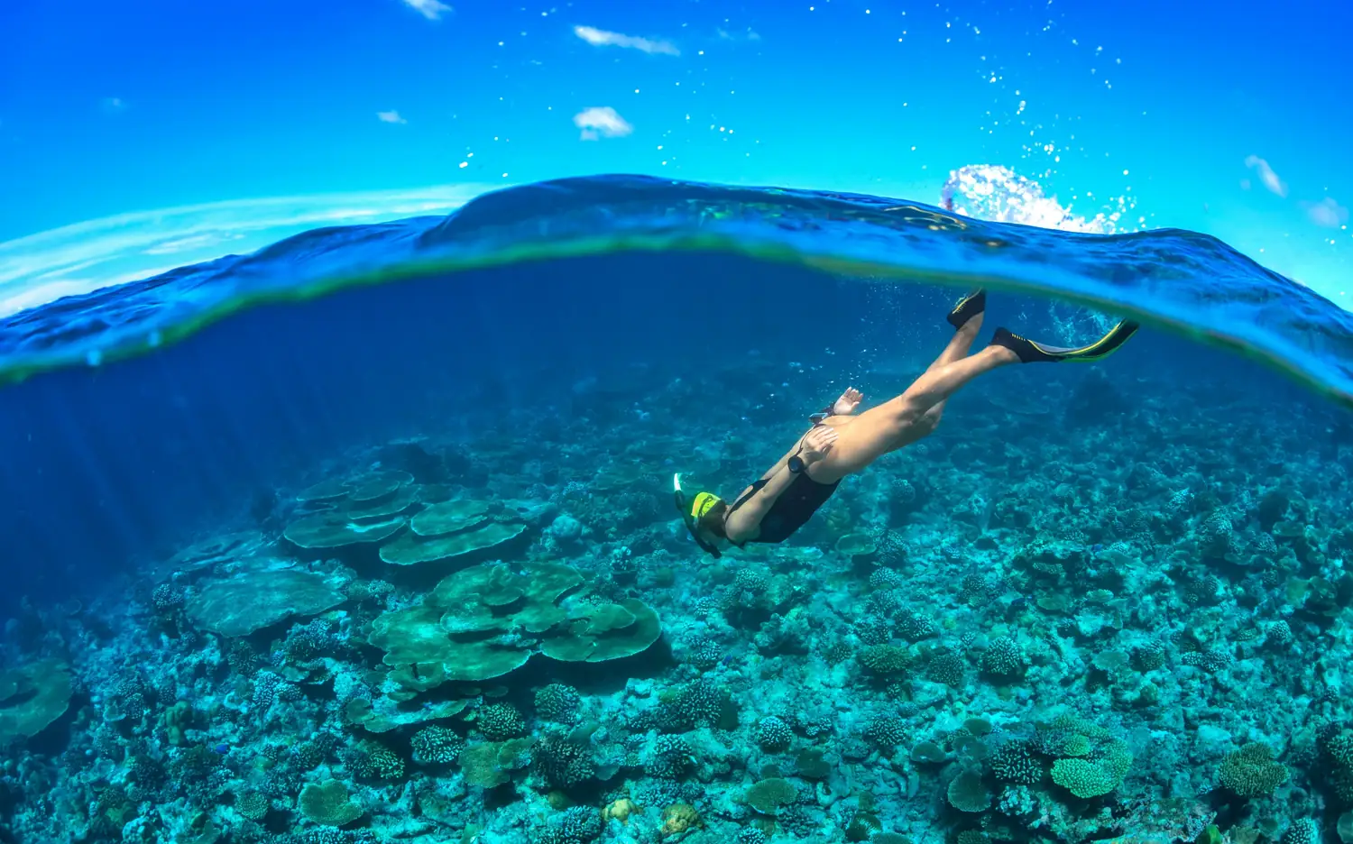 Snorkelling off the island