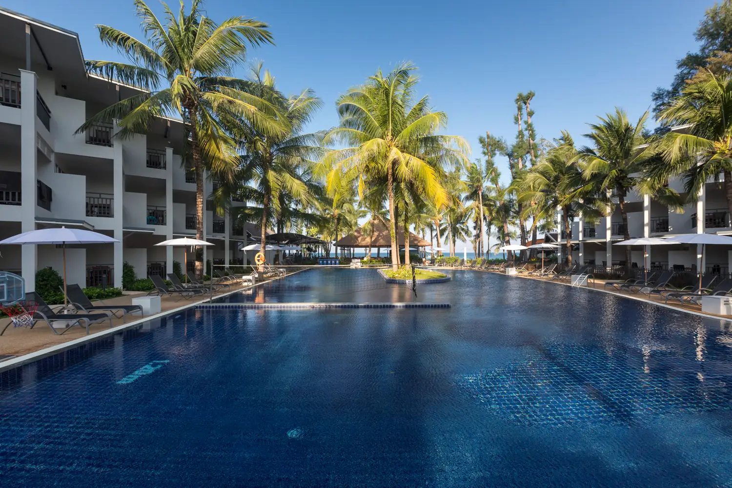Pool and palm gardens