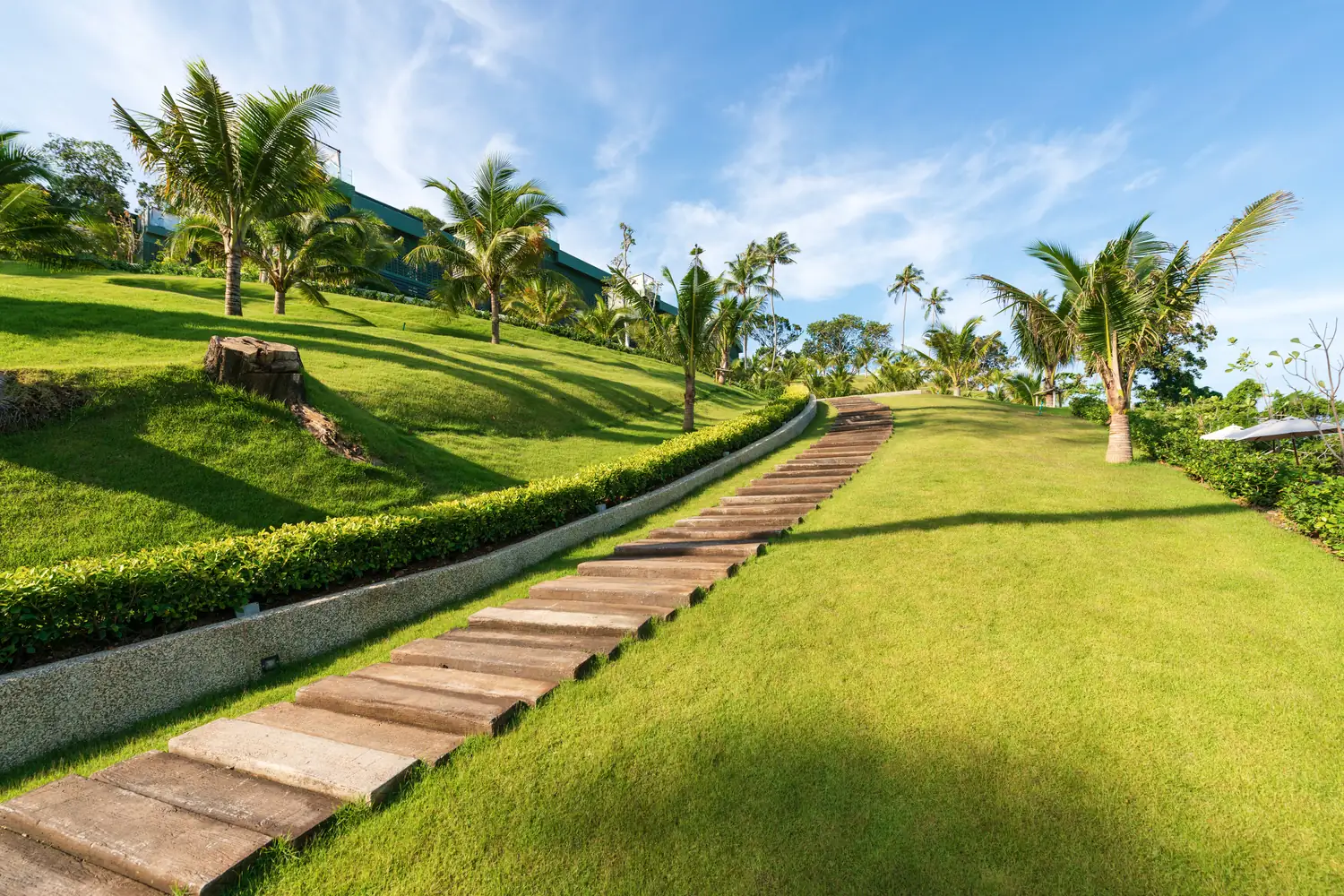 Landscaped gardens and pathways